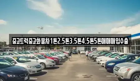 경상북도 안동시 신세동 중고차매입 전문 중고트럭중고화물차1톤2.5톤3.5톤4.5톤5톤매매매입수출