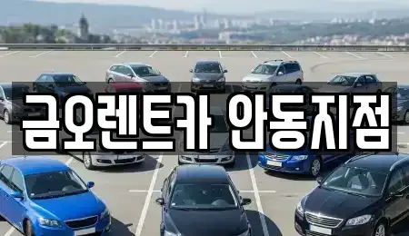 경상북도 안동시 용상동 렌트카 전문 금오렌트카 안동지점