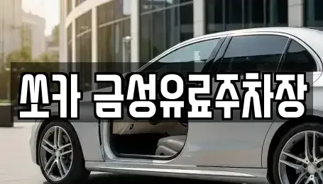경상북도 안동시 용상동 렌트카 전문 쏘카 금성유료주차장
