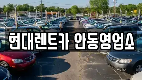 경상북도 안동시 용상동 렌트카 전문 현대렌트카 안동영업소