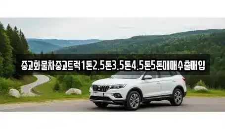 경상북도 영덕군 강구면 단기렌트카,중고차매입,중고차매매,중고차,렌트카,장기렌트카