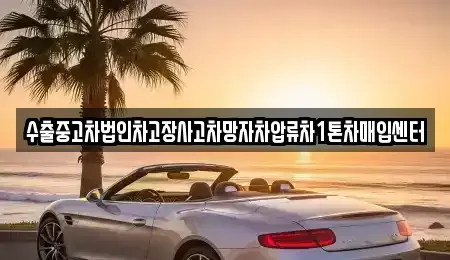 경상북도 영덕군 남정면 중고차 전문 수출중고차법인차고장사고차망자차압류차1톤차매입센터