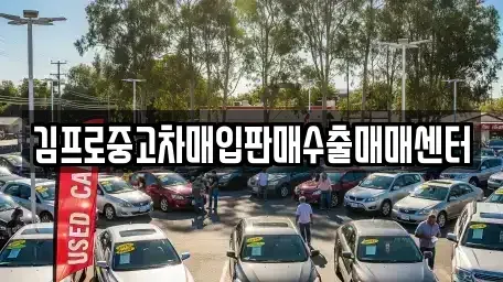 경상북도 영양군 중고차매매 전문 김프로중고차매입판매수출매매센터