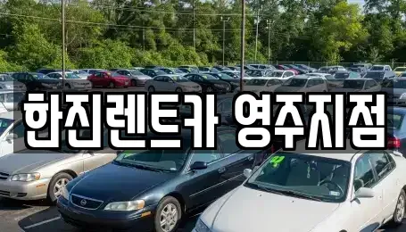 경상북도 영주시 하망동 렌트카 전문 한진렌트카 영주지점