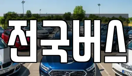 경상북도 영천시 봉동 중고차매매 전문 전국버스