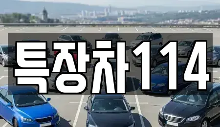 경상북도 영천시 봉동 중고차매매 전문 특장차114