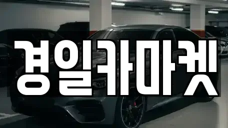경상북도 칠곡군 왜관읍 중고차 전문 경일카마켓