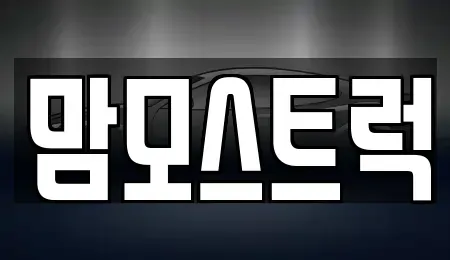 경상북도 칠곡군 왜관읍 중고차 전문 맘모스트럭