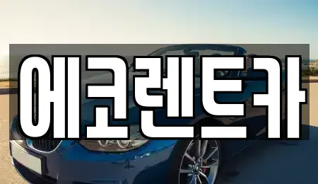 광주 광산구 황룡동 렌트카 전문 에코렌트카