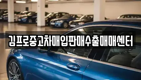 광주 동구 지산동 중고차매입 전문 김프로중고차매입판매수출매매센터