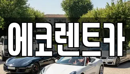 광주 북구 금곡동 렌트카 전문 에코렌트카