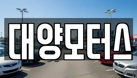 광주 북구 금곡동 중고차매매 전문 대양모터스