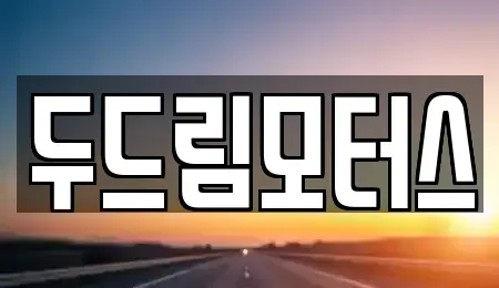 광주 서구 중고차매매 전문 두드림모터스