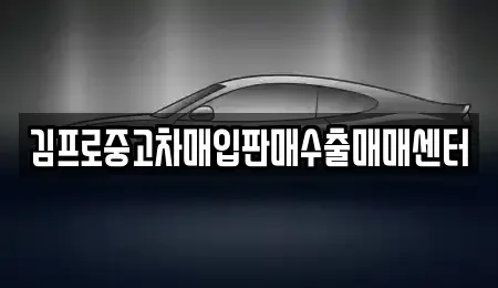 광주 서구 중고차매입 전문 김프로중고차매입판매수출매매센터