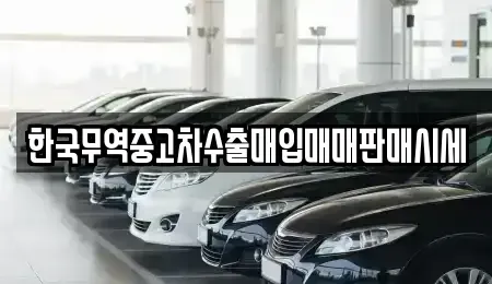 광주광역시 광산구 소촌동 중고차매입 전문 한국무역중고차수출매입매매판매시세