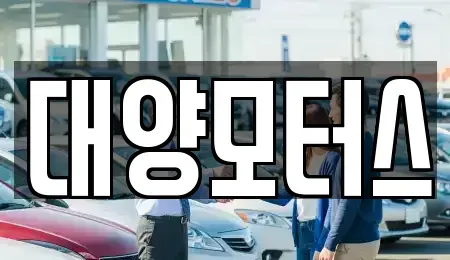 광주광역시 남구 대지동 중고차매매 전문 대양모터스