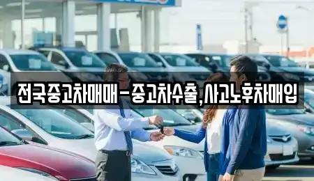 광주광역시 남구 사동 중고차매매 전문 전국중고차매매-중고차수출,사고노후차매입