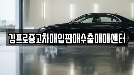 광주광역시 남구 사동 중고차매입 전문 김프로중고차매입판매수출매매센터