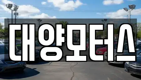 광주광역시 남구 송하동 중고차 전문 대양모터스