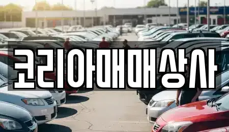 광주광역시 남구 송하동 중고차 전문 코리아매매상사