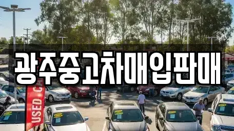 광주광역시 남구 송하동 중고차매입 전문 광주중고차매입판매