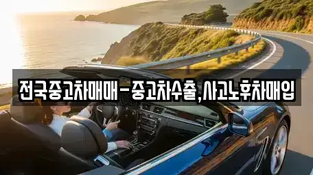 광주광역시 남구 송하동 중고차매입 전문 전국중고차매매-중고차수출,사고노후차매입
