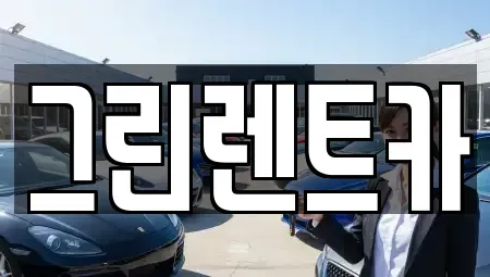 광주광역시 남구 진월동 장기렌트카 전문 그린렌트카