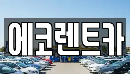 광주광역시 동구 운림동 렌트카 전문 에코렌트카
