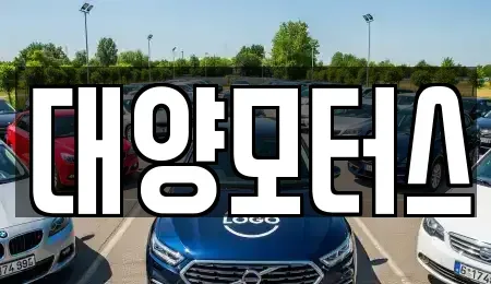 광주광역시 동구 장동 중고차 전문 대양모터스