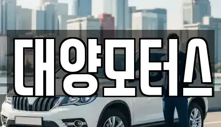 광주광역시 동구 지산동 중고차매매 전문 대양모터스