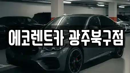 광주광역시 북구 망월동 렌트카 전문 에코렌트카 광주북구점