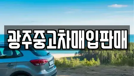 광주광역시 북구 풍향동 중고차,렌트카,중고차매입,중고차매매,장기렌트카,단기렌트카