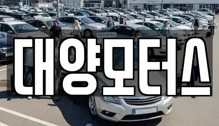 광주광역시 북구 풍향동 중고차 전문 대양모터스