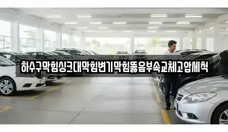 광주광역시 북구 풍향동 중고차 전문 하수구막힘싱크대막힘변기막힘뚫음부속교체고압세척