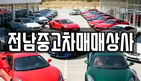 광주광역시 북구 풍향동 중고차매매 전문 전남중고차매매상사