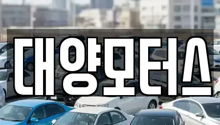 광주광역시 서구 유촌동 중고차매매 전문 대양모터스