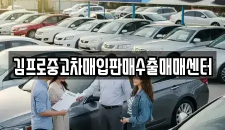 광주광역시 서구 유촌동 중고차매입 전문 김프로중고차매입판매수출매매센터