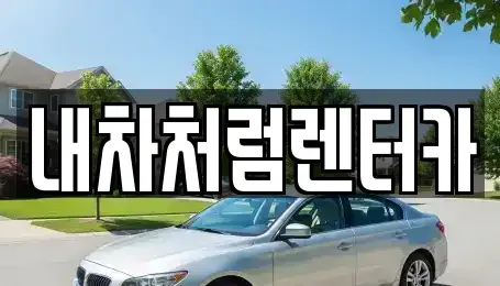 대구 군위군 부계면 렌트카 전문 내차처럼렌터카