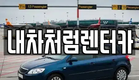 대구 달서구 대천동 렌트카 전문 내차처럼렌터카