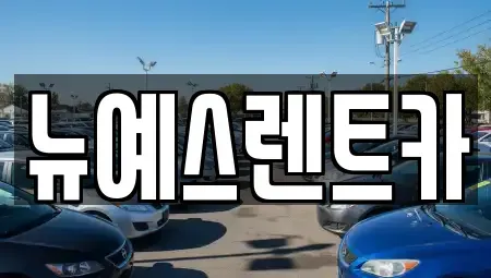 대구 달서구 대천동 렌트카 전문 뉴예스렌트카