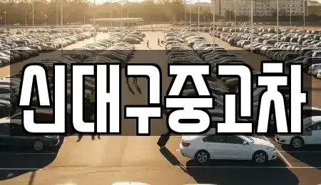 대구 동구 숙천동 중고차 전문 신대구중고차