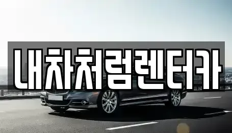 대구 동구 신기동 렌트카 전문 내차처럼렌터카