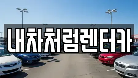 대구 동구 용수동 렌트카 전문 내차처럼렌터카