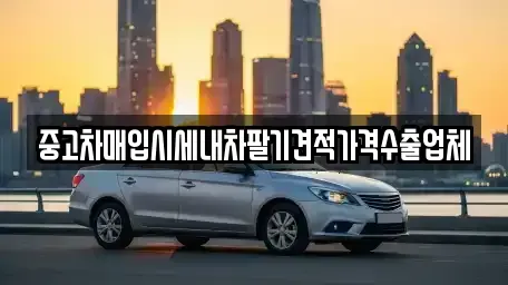 대구 동구 평광동 중고차 전문 중고차매입시세내차팔기견적가격수출업체