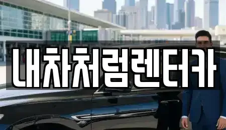 대구 북구 복현동 렌트카 전문 내차처럼렌터카