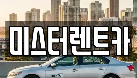 대구 북구 복현동 렌트카 전문 미스터렌트카