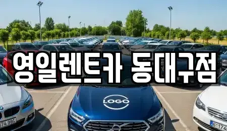 대구 북구 복현동 렌트카 전문 영일렌트카 동대구점