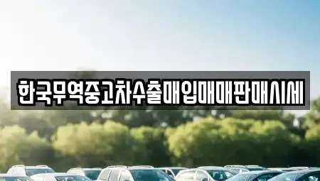 대구 북구 복현동 중고차 전문 한국무역중고차수출매입매매판매시세
