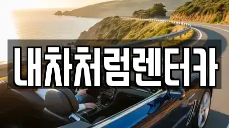 대구 북구 서변동 렌트카 전문 내차처럼렌터카