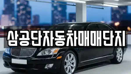 대구 북구 서변동 중고차매매 전문 삼공단자동차매매단지